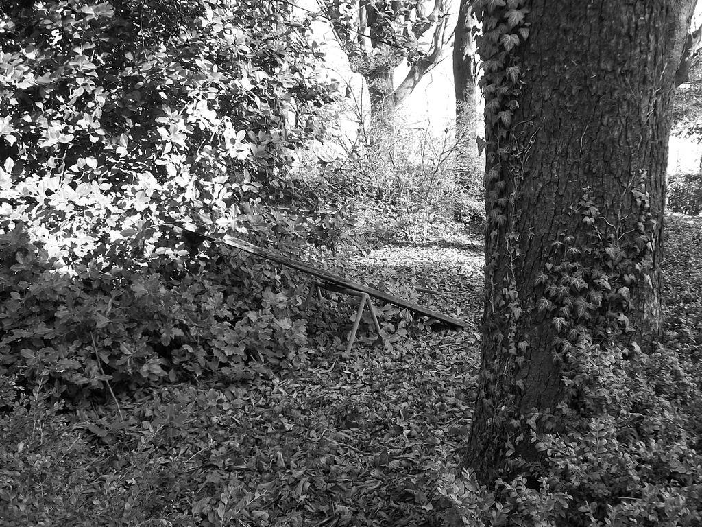 Tenuta San Rocco Conzano Extérieur photo